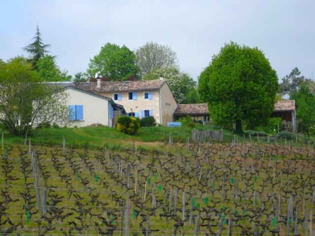 Chateau Regaldo-Saint Blancard Salleboeuf Экстерьер фото